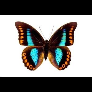 Meet your Posher, Michele